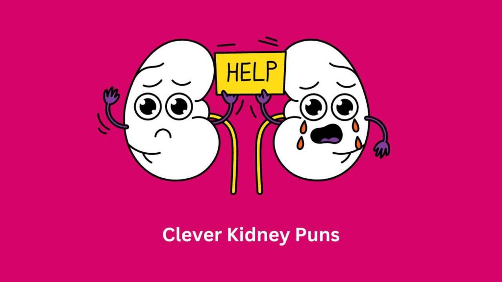 Clever Kidney Puns