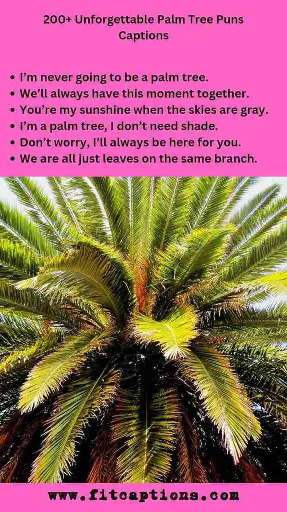 Inspirational Palm Tree Quotes