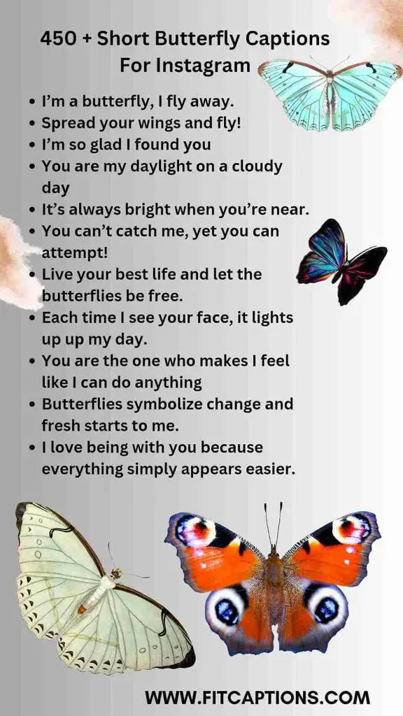 Short Butterfly Captions For Instagram