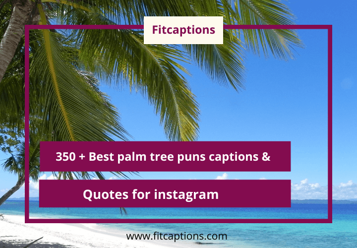 palm tree puns captions