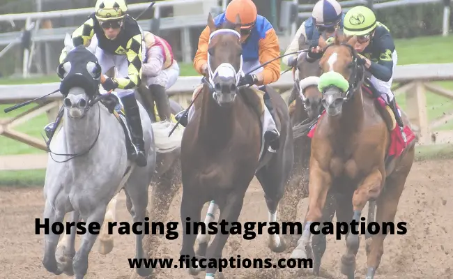 horse racing instagram captions