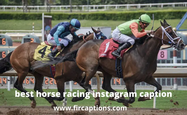 best horse racing instagram captions