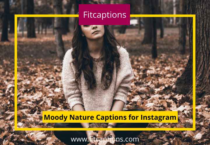 Moody Nature Captions for Instagram