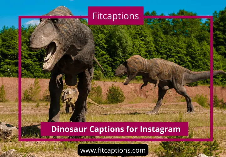 Dinosaur Captions for Instagram