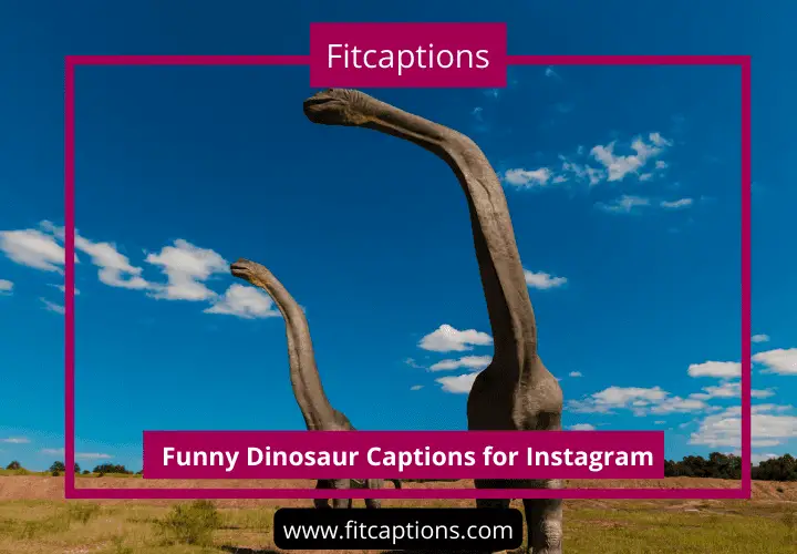 funny captions for instagram