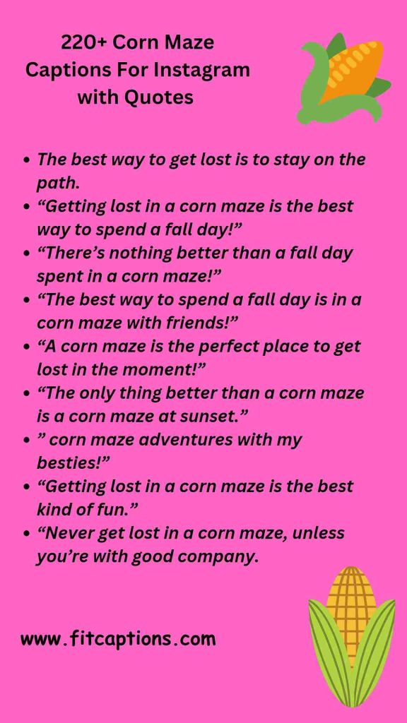 220+ Corn Maze Captions For Instagram with Quotes Your Harvest 220 Corn Maze Captions For Instagram with Quotes