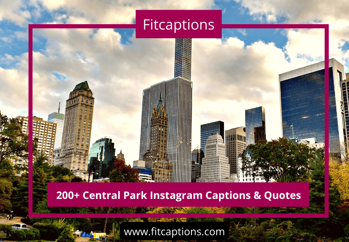 200+ Central Park Instagram Captions