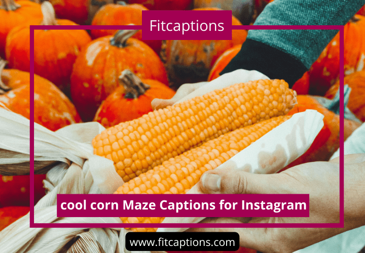 Cool Corn Maze Captions for Instagram