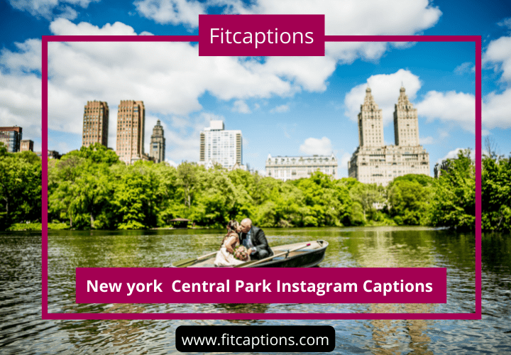 New York Central Park Instagram Captions