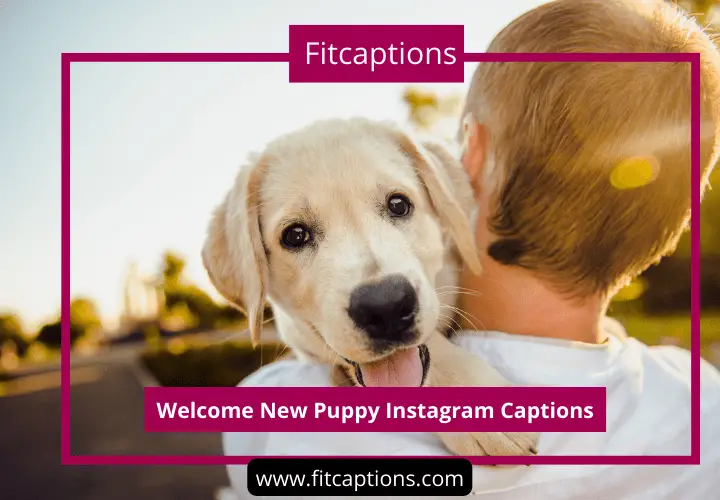 190+ Welcome New Puppy Instagram Captions & Quotes - Fitcaptions