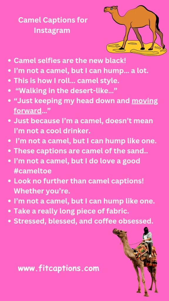 Camel Captions for Your Instagram