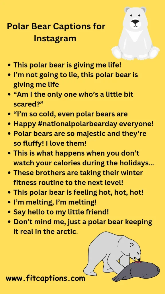 Polar bear Captions for Instagram