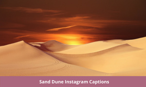 Sand Dune Instagram Captions