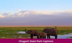 Chugach State Park Captions