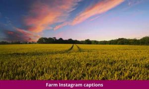 Farm Instagram captions