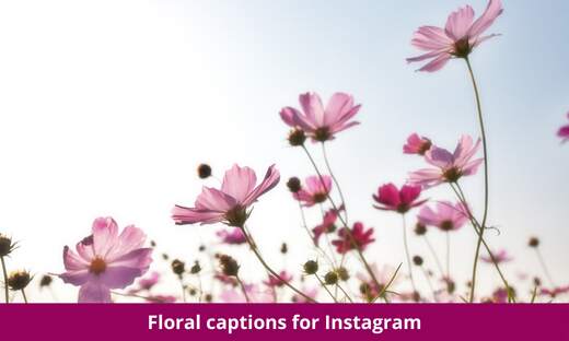 Floral captions for Instagram