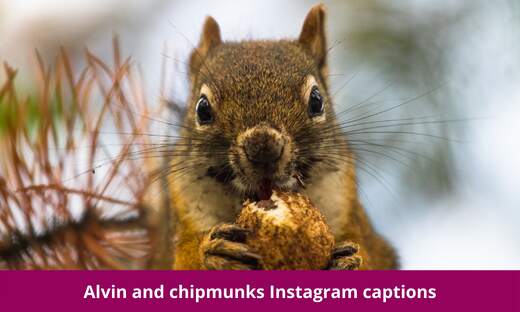 Alvin and chipmunks instagram captions