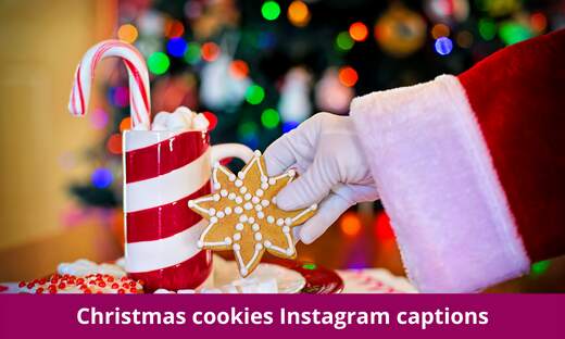 Christmas cookies Instagram captions