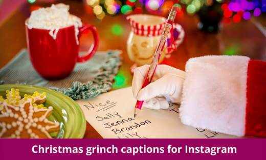 Christmas grinch captions for instagram
