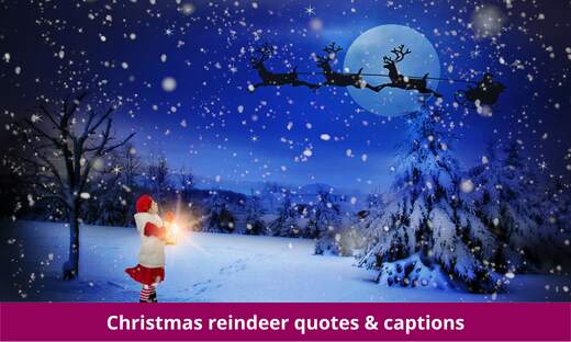Christmas reindeer quotes & captions