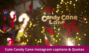 Cute Candy Cane Instagram captions & Quotes