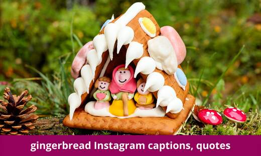 gingerbread Instagram captions and quotes