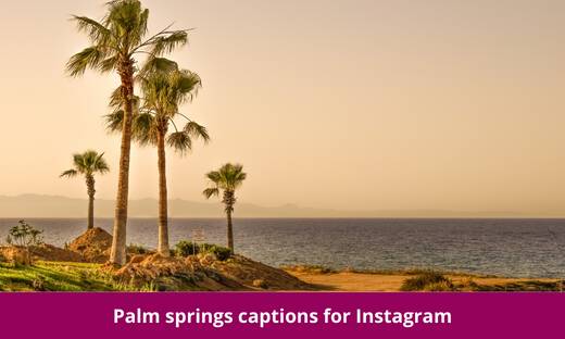 Palm springs captions for Instagram