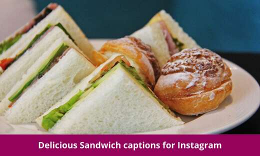Delicious Sandwich captions for Instagram