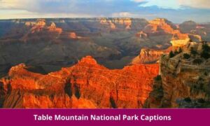 Table Mountain National Park Captions