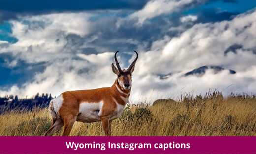 Wyoming Instagram captions