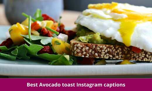 Avocado toast Instagram captions