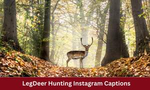 Deer Hunting Instagram Captions