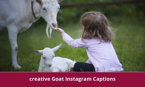 Goat Instagram Captions