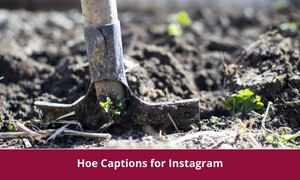 Hoe Captions for Instagram