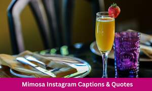 Mimosa Instagram Captions