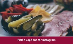 Pickle Captions for Instagram