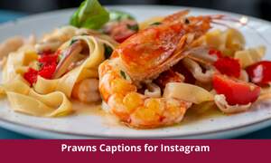 Prawns Captions for Instagram
