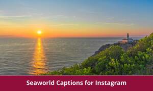 Seaworld Captions for Instagram