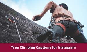 Tree Climbing captions for instagram