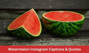 Watermelon Instagram Captions