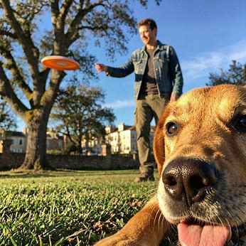 dog point view captions for instagram