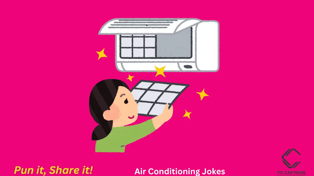 Air Conditioning Puns