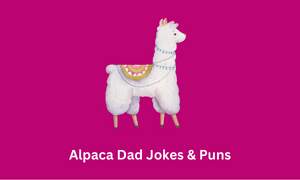 Alpaca Dad Jokes