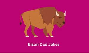 Bison Dad Jokes