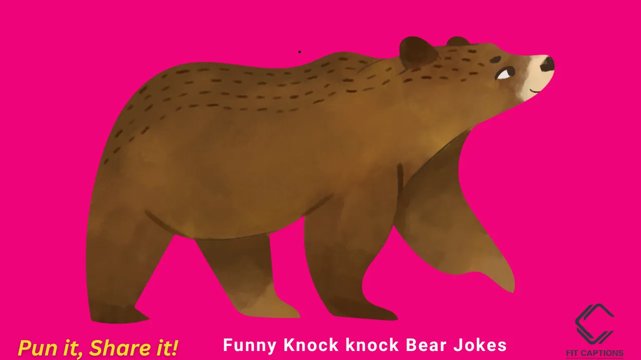Funny Knock knock Bear Jokes