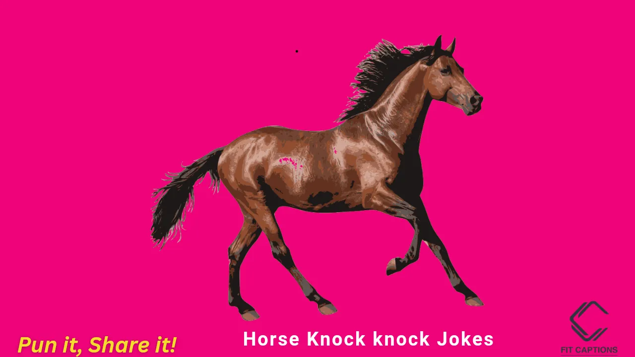 Horse Knock knock Jokes 1