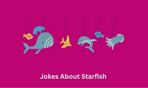 Jokes About Starfish