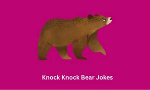 Knock Knock Bear Jokes