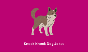 Knock Knock Dog Jokes