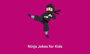 Ninja Jokes for Kids